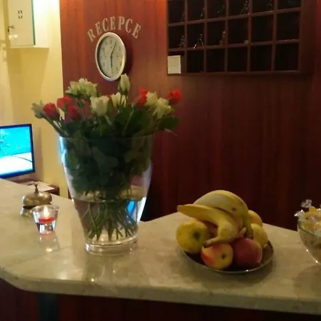 Aparthotel Ochsendorf Horni Blatna